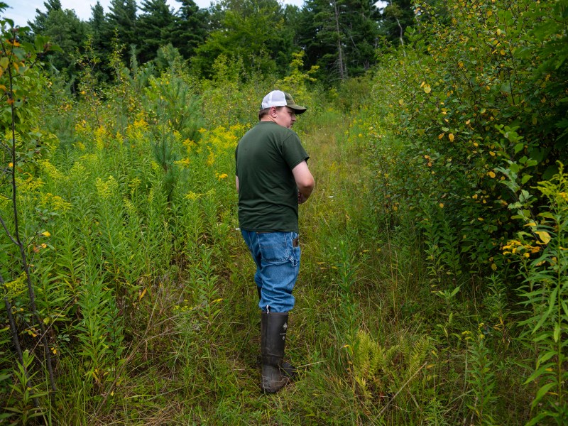A person in a green shirt, jeans, and rubber boots stands on a grassy path surrounded by dense vegetation and trees, looking over their shoulder.