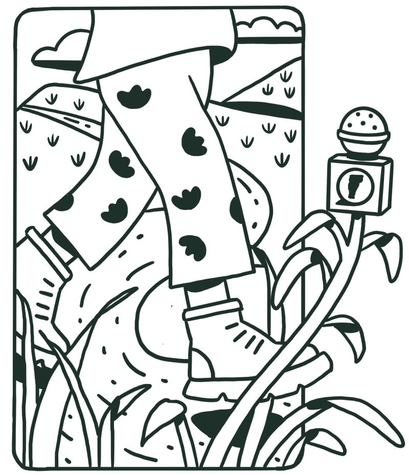 Illustration of boots walking on a dirt road with plants and hills, and a microphone on a stem.
