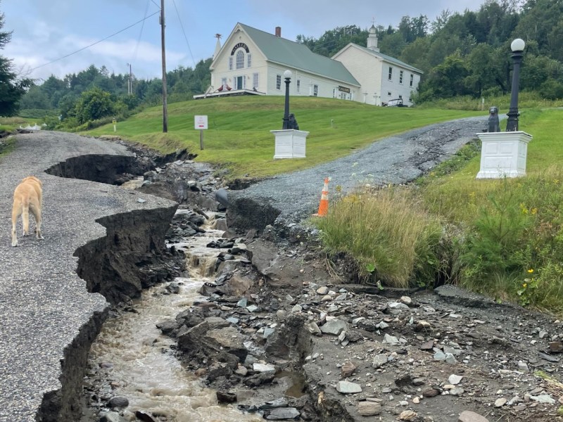 A dog walks on a road significantly damaged by a landslide, with deep cracks and a stream running through. A house on a grassy hill is visible in the background.