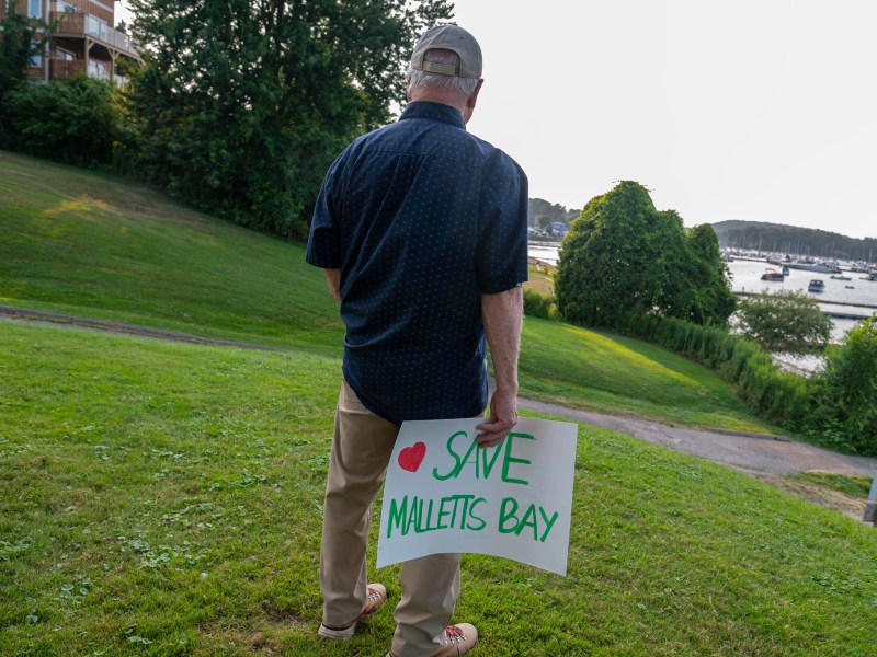 A person stands on a grassy hill overlooking a bay, holding a sign that reads "Save Malletts Bay" with a red heart.