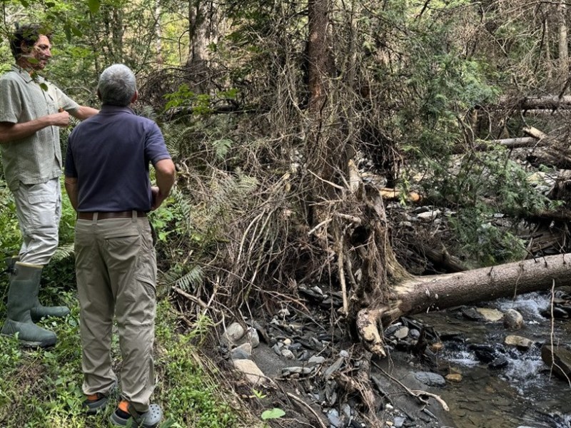 Two people stand by a stream in a forested area, observing fallen trees and debris along the water’s edge.