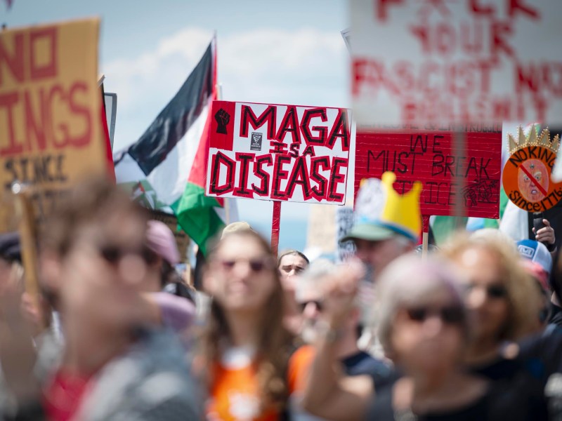 A crowd of protesters holds various signs, including one reading "MAGA IS A DISEASE" and another with a Palestinian flag in the background.