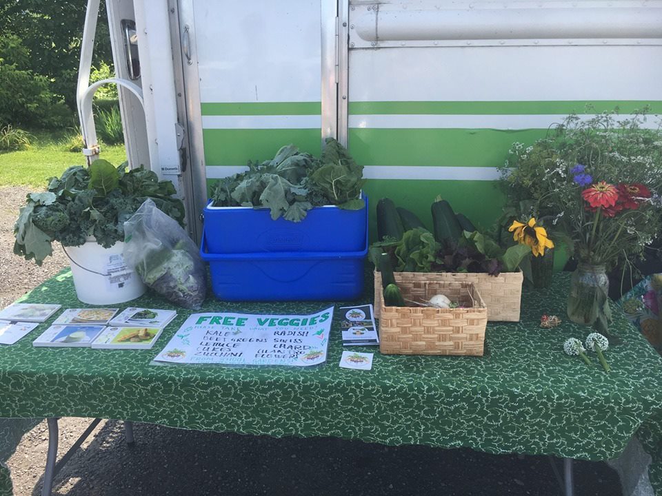 a table topped with lots of different types of plants.