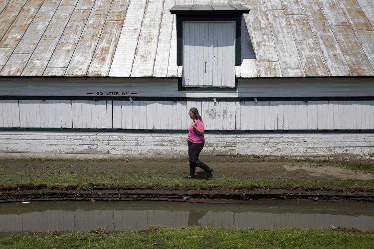 A woman in a pink shirt and dark pants walks past a barn and a flooded field.