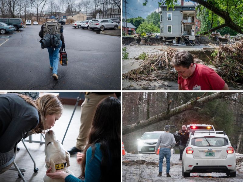 Four images: a person walking in a parking lot; a house in floodwaters; a K-9 dog interacting with two people; police officer near tree fallen on car.